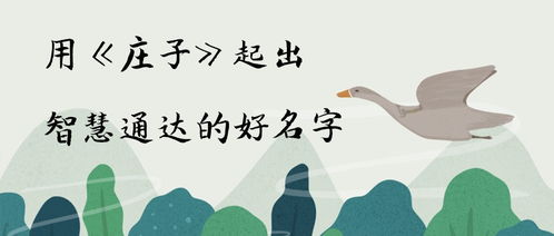 曹宝宝小名取名的智慧之道
