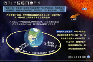 11月10日出生者，独特魅力揭秘