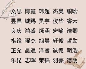 鸡年罗姓男孩取名精选 鸡年罗姓男孩取名精选