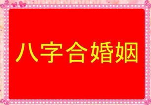 八字天财配对，婚姻美满指南