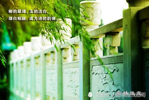 10月10日星座揭秘，上升星座大揭秘