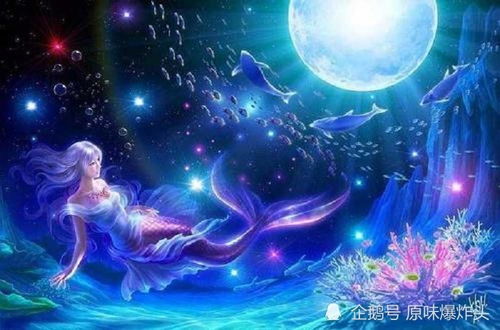 双鱼月感情新风向
