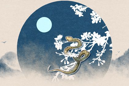 属蛇女近期运势详解