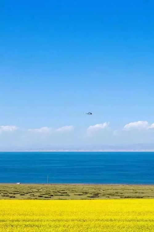 七月份青海旅游攻略大全
