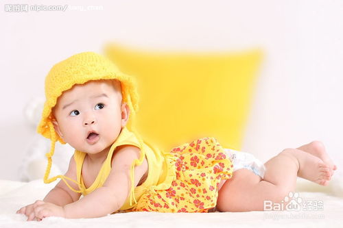 兔年董姓女宝宝佳名推荐
