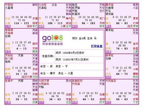 揭秘合婚八字命盘解析视频网