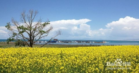 甘肃青海三日游攻略