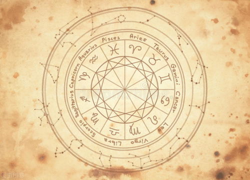 94年12月15日星座揭秘