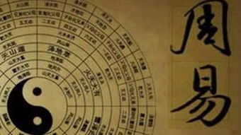 运势解码占卜感情未来
