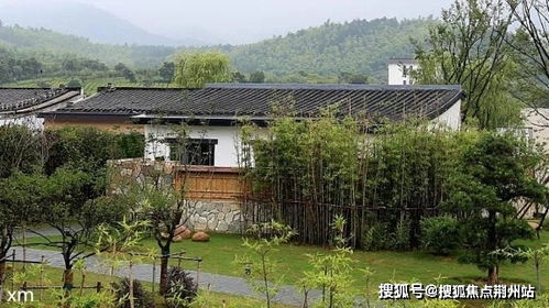 近期巨蟹运势男女解析