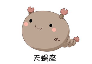 金牛天蝎运势揭秘