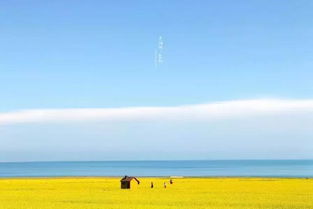 青海湖7月旅游攻略指南