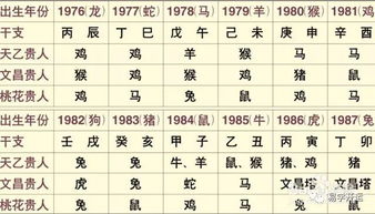 猴猪八字婚配分析