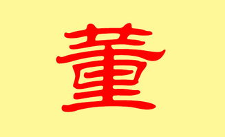 龙宝宝董姓取名技巧一览