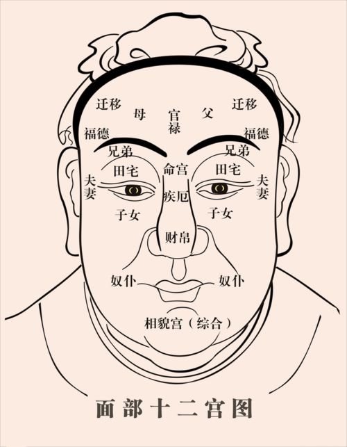 面相揭秘，女性感情运势的奥秘