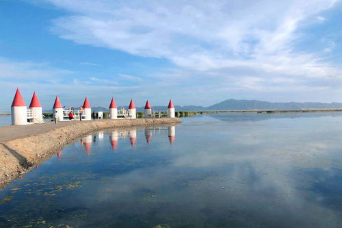 青海七月旅行攻略全解析