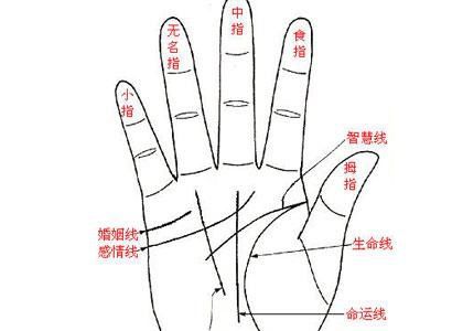 女性手相揭秘，感情运势图解
