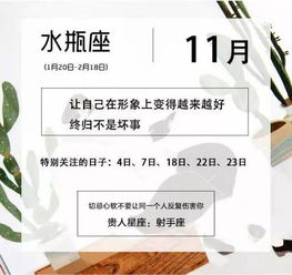 十一月水瓶情运揭秘