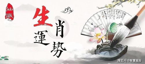 癸巳日生运势揭秘