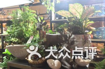 上海花店排名