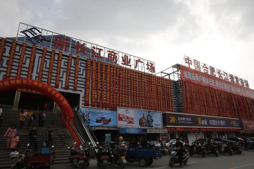 广东苗木最大批发市场 广东苗木最大批发市场