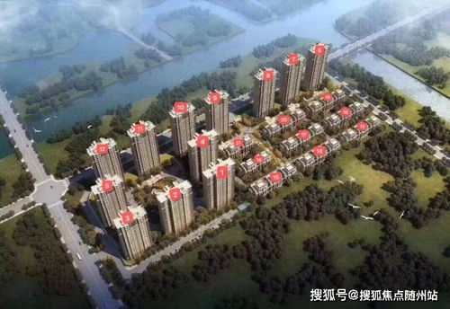 雷鸟运势解析，近期吉凶如何？