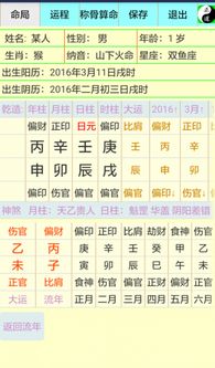 八字排盘宝免费四柱合婚