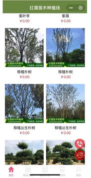 绿化苗木买卖交易平台哪个好