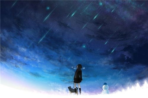 2013年双鱼流星雨，浪漫星河之夜