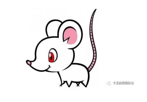 鼠宝宝唐姓取名巧思集
