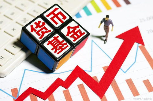 今日辛金运势速览