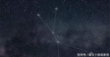 一月份星座智慧排行