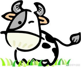 73牛今日运势详解