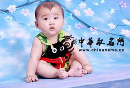 龙宝宝取名指南
