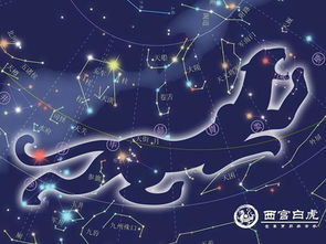 危月燕星宿，揭秘星宿女感情运势