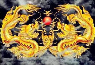 属龙今日运势揭秘