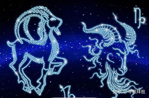 1月6号摩羯女独步天下的魅力