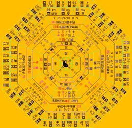 十卦九卦，揭秘感情运势！