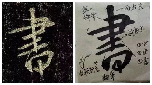 癸卯日柱今日运势解析