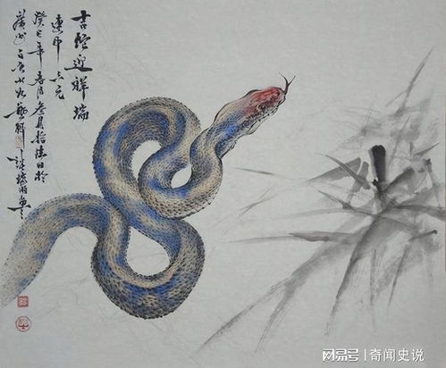 1977蛇人今日运势详解