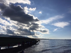 青海湖一日游攻略全解析