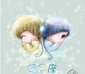 双子座独特面容解码