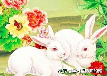 缺金属兔女宝宝巧取名
