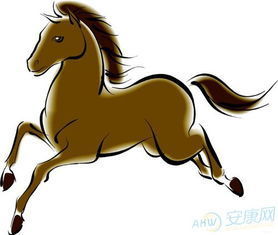 属马今日运势揭秘