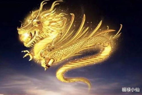 2024生肖龙爱情指南