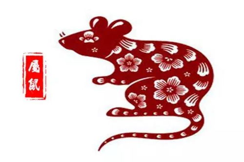 生肖鼠今日运势大旺