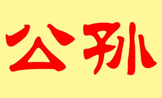 孙姓女兔宝宝取名巧思集