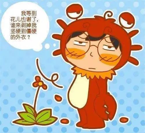 巨蟹女白羊男近期运势揭秘