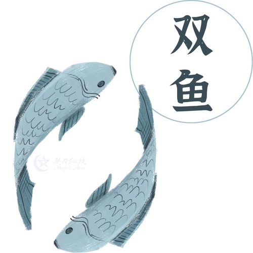 今日双子运势惊喜多