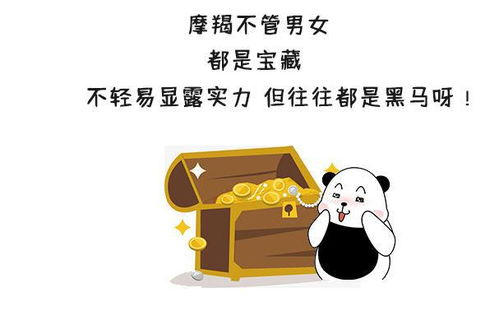 单身摩羯爱情新转机